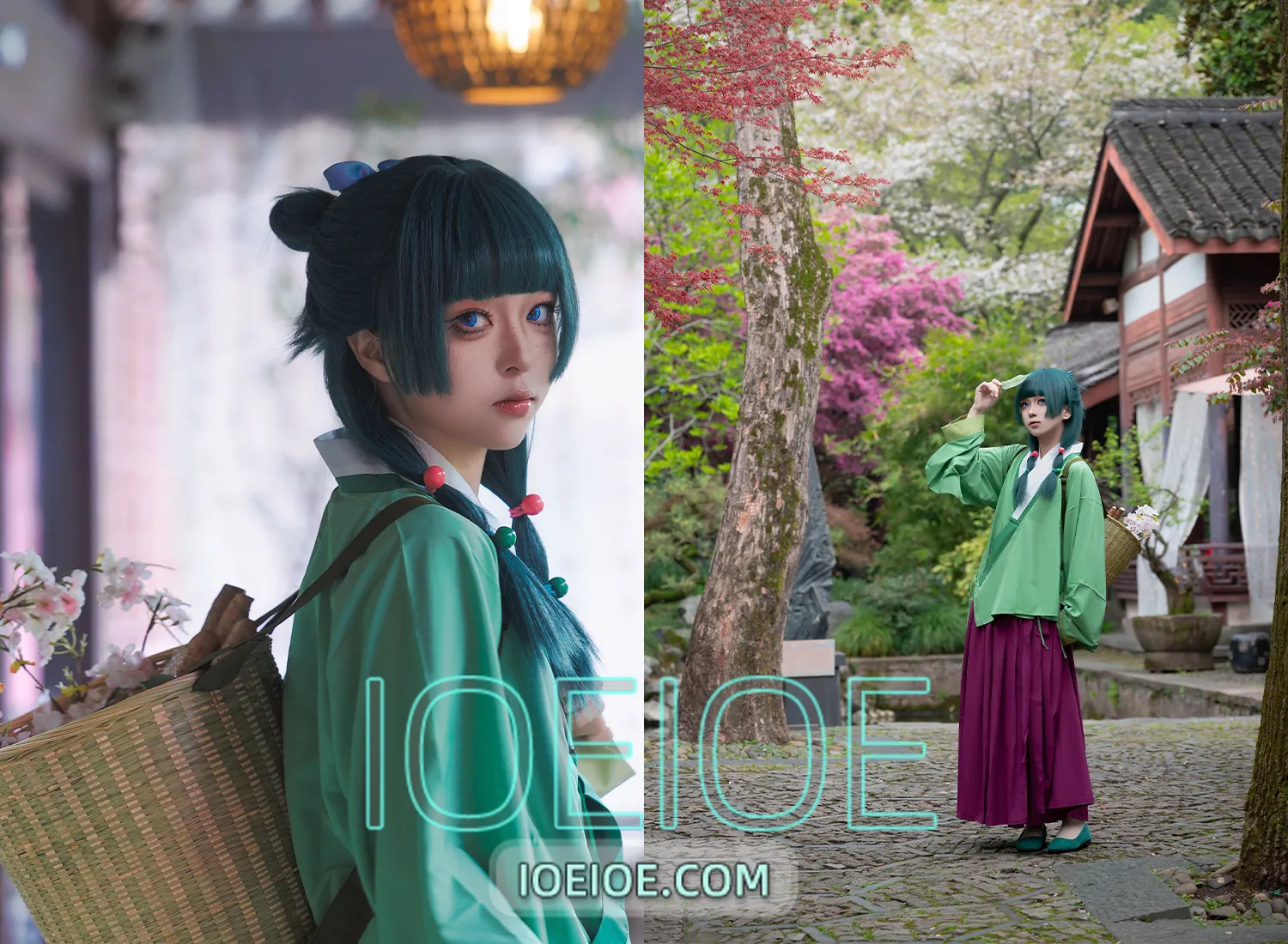 图片[1]-矢量鱼 – NO.007 Maomao [52P-327MB]-IOE魔盒花园